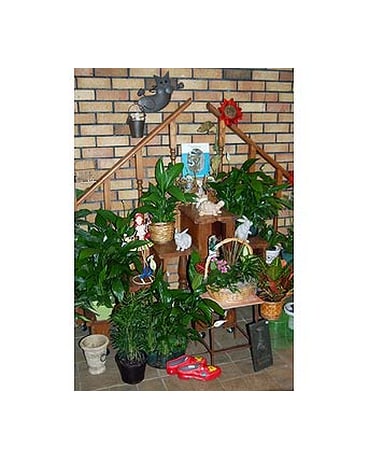Large selection of indoor and outdoor plants in our Atrium